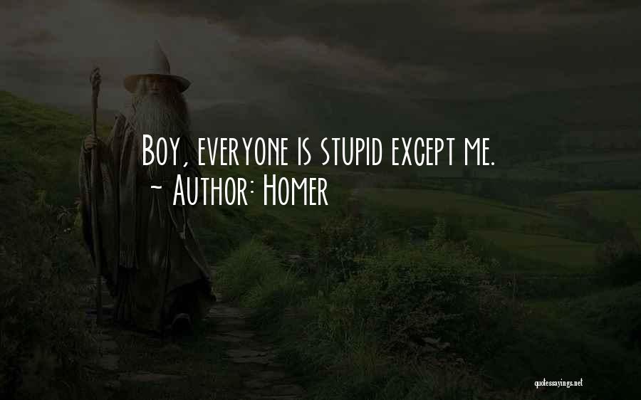 Homer Quotes: Boy, Everyone Is Stupid Except Me.