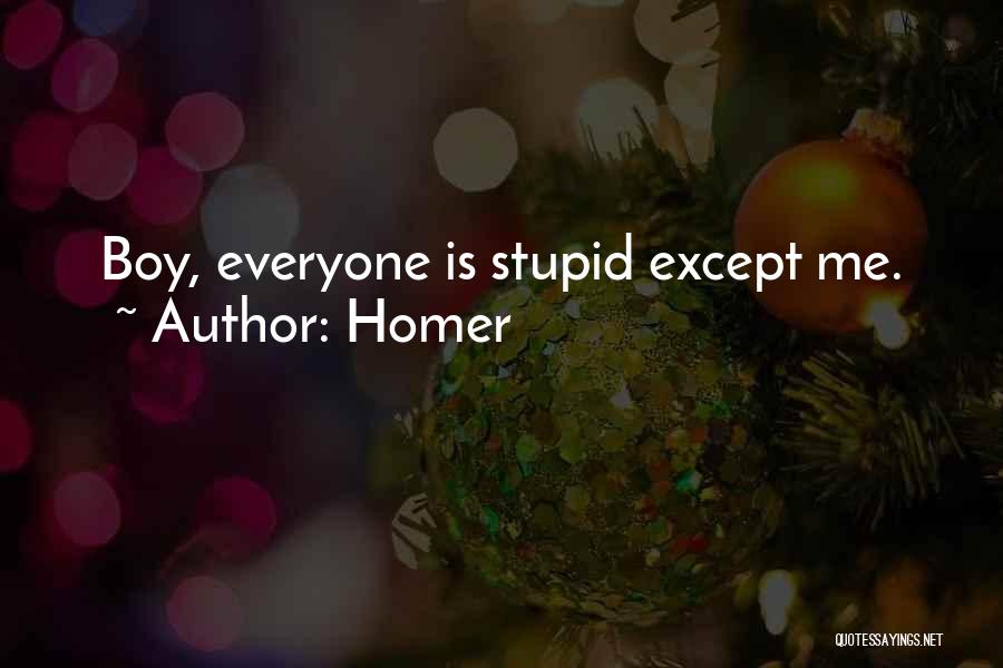 Homer Quotes: Boy, Everyone Is Stupid Except Me.