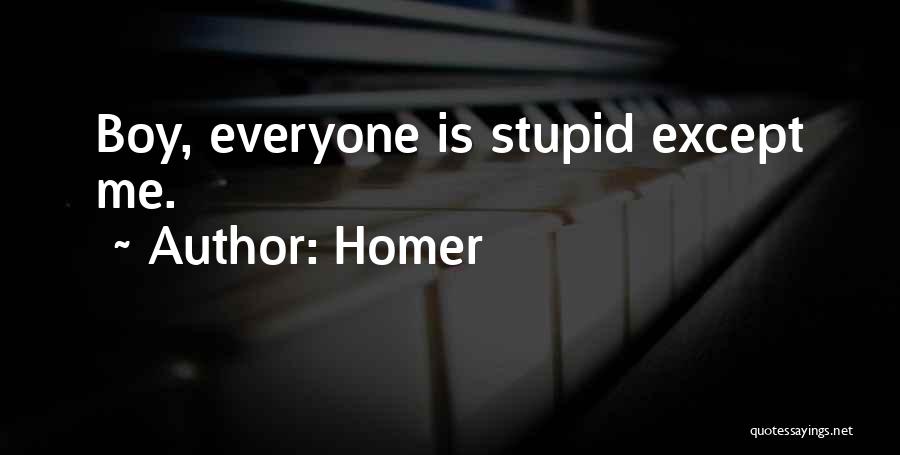 Homer Quotes: Boy, Everyone Is Stupid Except Me.