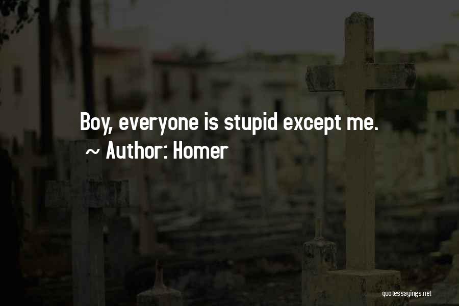 Homer Quotes: Boy, Everyone Is Stupid Except Me.