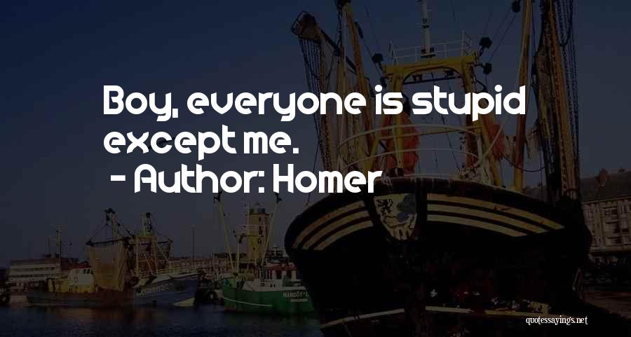 Homer Quotes: Boy, Everyone Is Stupid Except Me.
