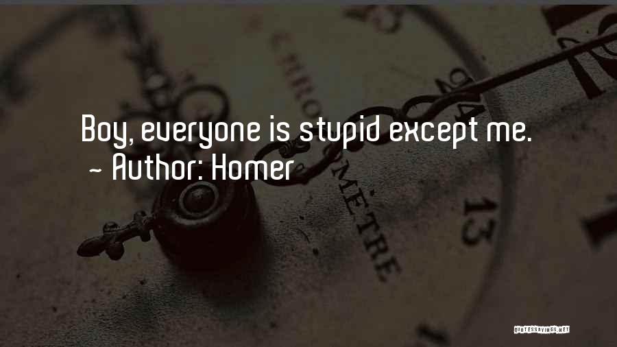 Homer Quotes: Boy, Everyone Is Stupid Except Me.