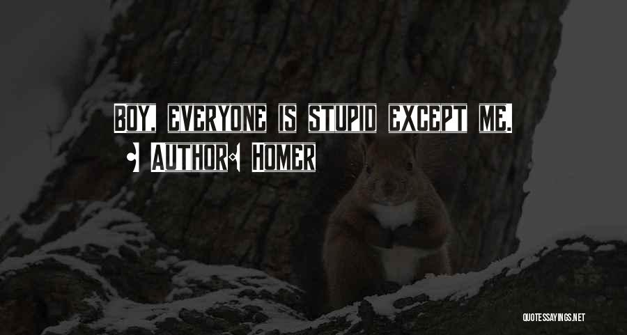 Homer Quotes: Boy, Everyone Is Stupid Except Me.