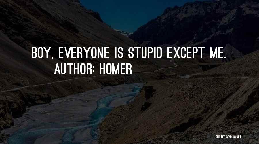 Homer Quotes: Boy, Everyone Is Stupid Except Me.