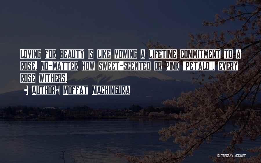 Moffat Machingura Quotes: Loving For Beauty Is Like Vowing A Lifetime Commitment To A Rose. No-matter How Sweet-scented Or Pink Petald, Every Rose