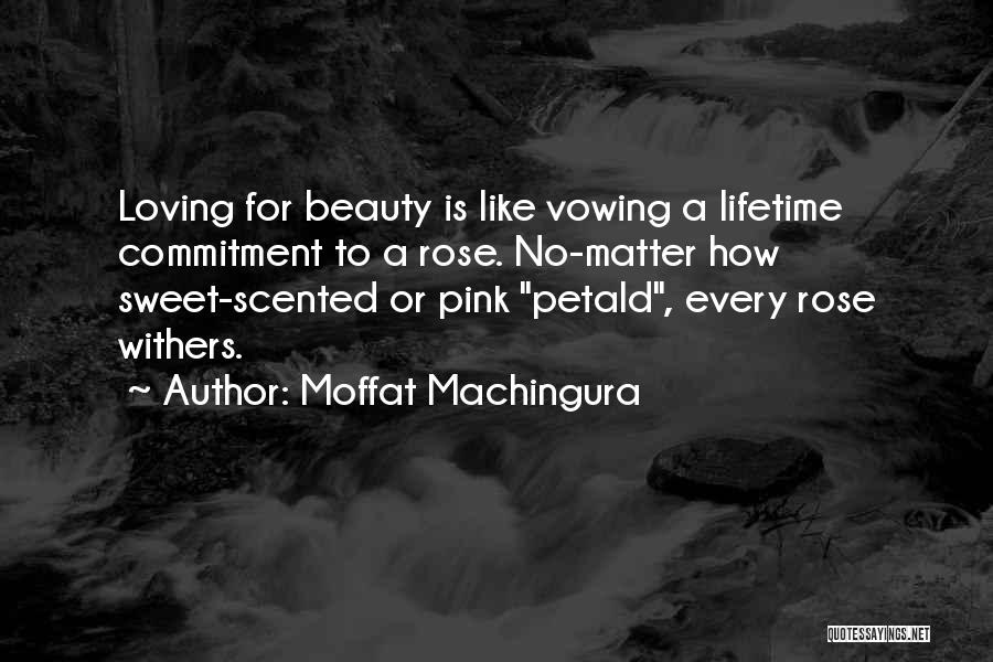 Moffat Machingura Quotes: Loving For Beauty Is Like Vowing A Lifetime Commitment To A Rose. No-matter How Sweet-scented Or Pink Petald, Every Rose