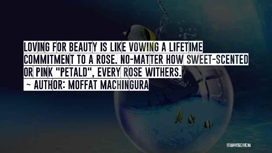 Moffat Machingura Quotes: Loving For Beauty Is Like Vowing A Lifetime Commitment To A Rose. No-matter How Sweet-scented Or Pink Petald, Every Rose