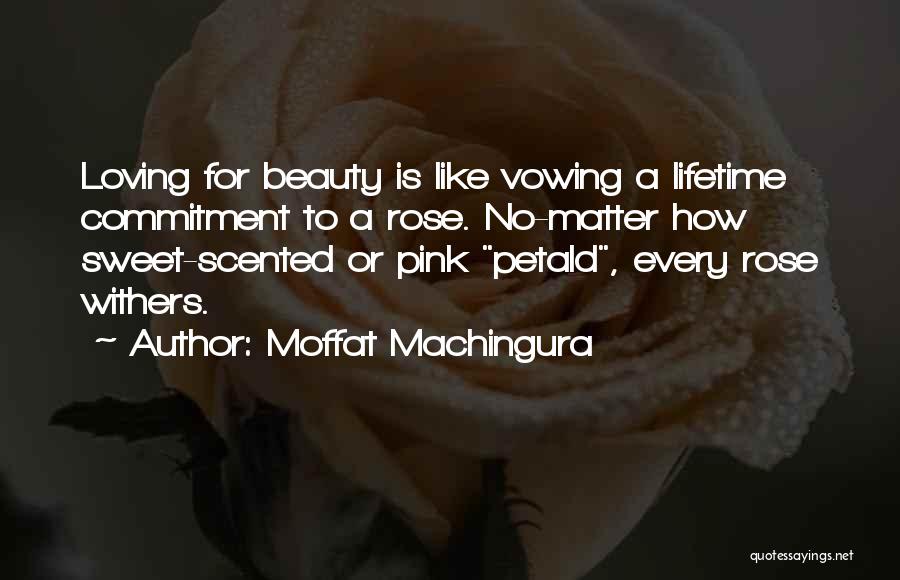 Moffat Machingura Quotes: Loving For Beauty Is Like Vowing A Lifetime Commitment To A Rose. No-matter How Sweet-scented Or Pink Petald, Every Rose