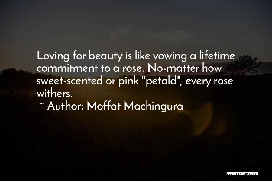 Moffat Machingura Quotes: Loving For Beauty Is Like Vowing A Lifetime Commitment To A Rose. No-matter How Sweet-scented Or Pink Petald, Every Rose