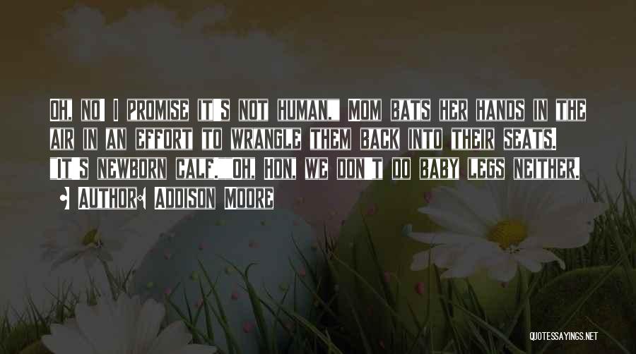 Addison Moore Quotes: Oh, No! I Promise It's Not Human, Mom Bats Her Hands In The Air In An Effort To Wrangle Them