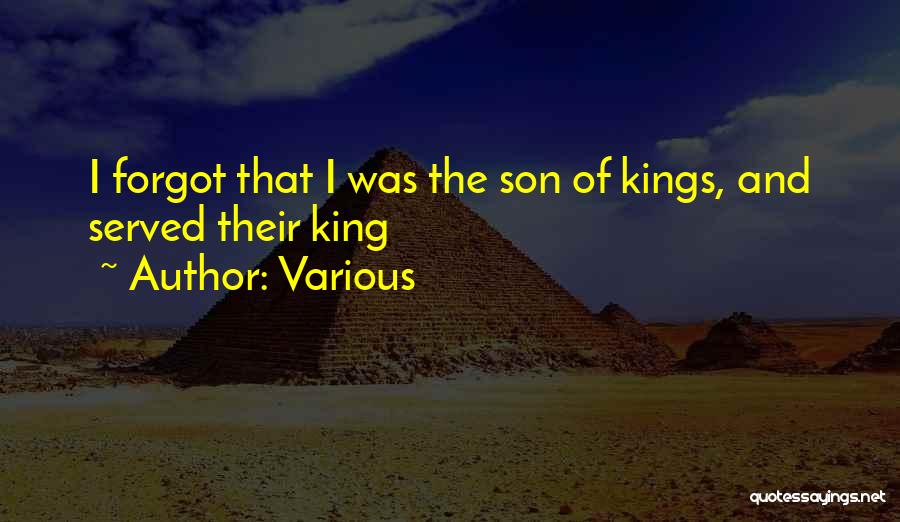 Various Quotes: I Forgot That I Was The Son Of Kings, And Served Their King