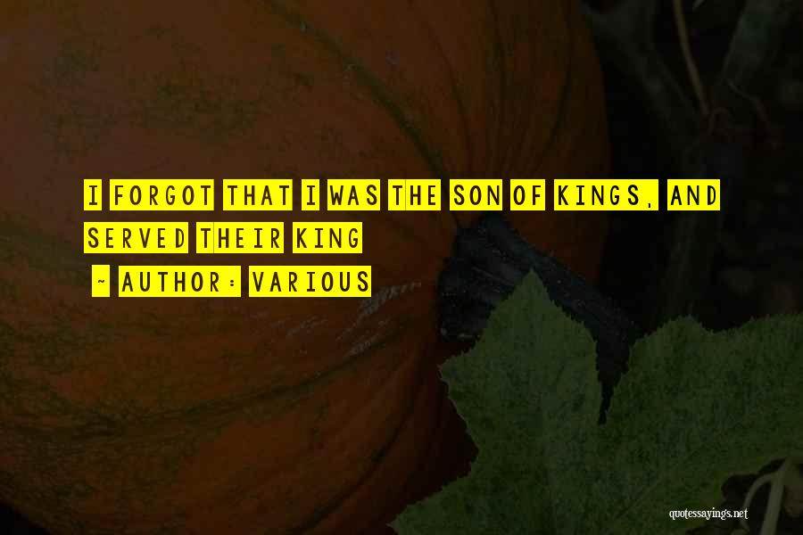 Various Quotes: I Forgot That I Was The Son Of Kings, And Served Their King