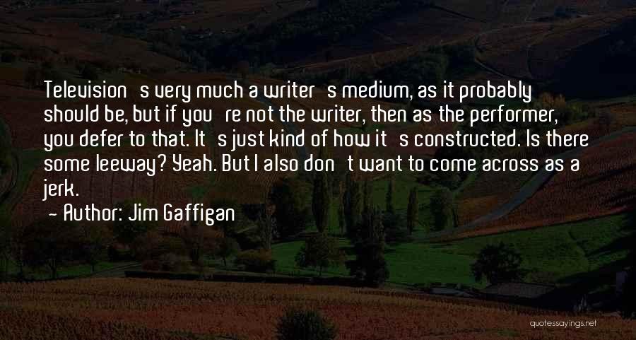 Jim Gaffigan Quotes: Television's Very Much A Writer's Medium, As It Probably Should Be, But If You're Not The Writer, Then As The