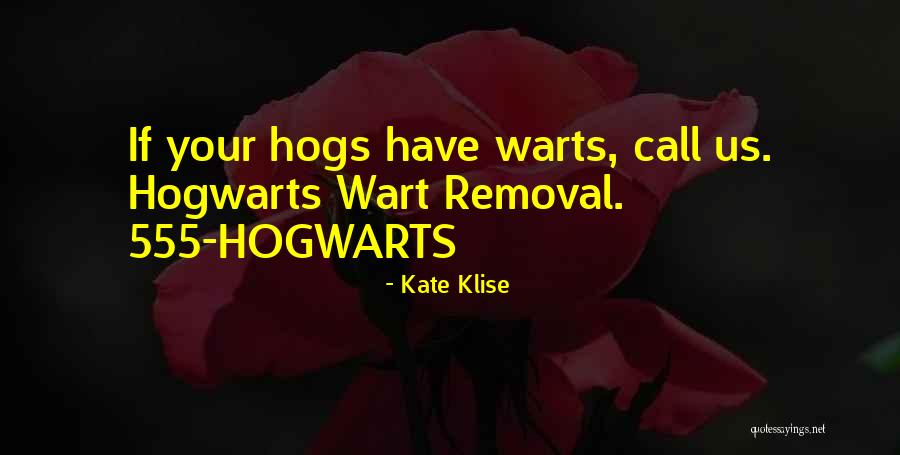 555 Quotes By Kate Klise 555 Quotes By Kate Klise