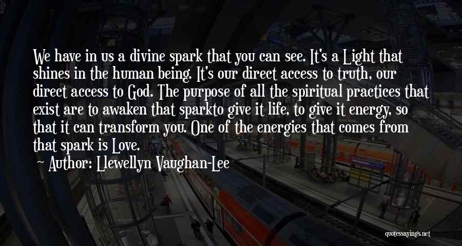 Llewellyn Vaughan-Lee Quotes: We Have In Us A Divine Spark That You Can See. It's A Light That Shines In The Human Being.