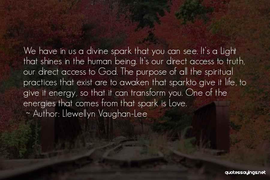 Llewellyn Vaughan-Lee Quotes: We Have In Us A Divine Spark That You Can See. It's A Light That Shines In The Human Being.