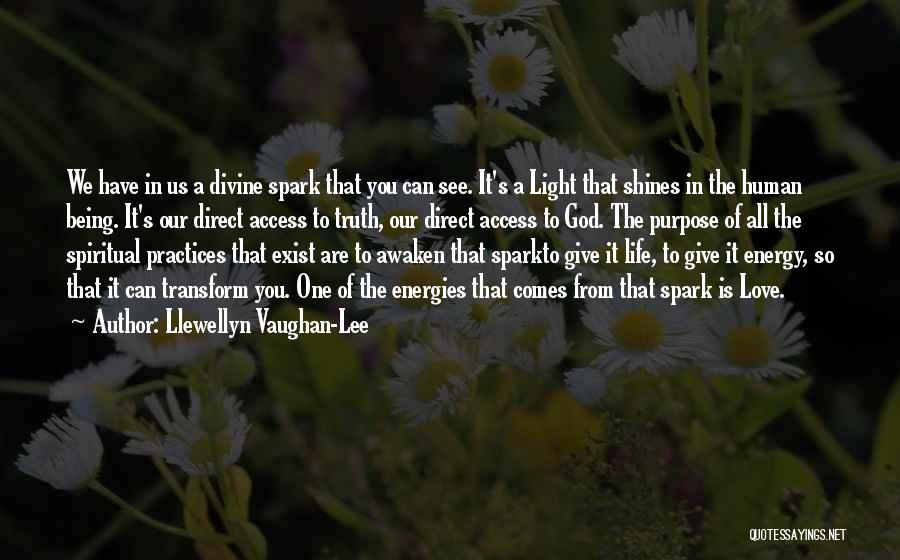 Llewellyn Vaughan-Lee Quotes: We Have In Us A Divine Spark That You Can See. It's A Light That Shines In The Human Being.