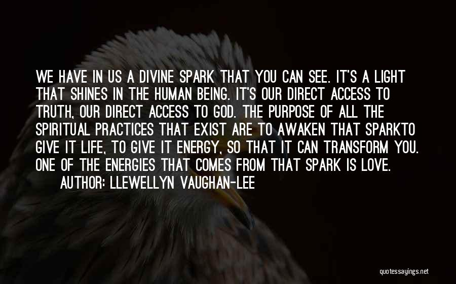Llewellyn Vaughan-Lee Quotes: We Have In Us A Divine Spark That You Can See. It's A Light That Shines In The Human Being.