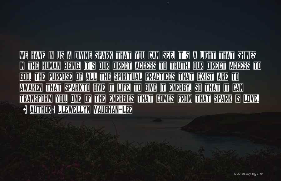 Llewellyn Vaughan-Lee Quotes: We Have In Us A Divine Spark That You Can See. It's A Light That Shines In The Human Being.