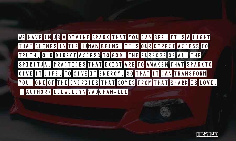 Llewellyn Vaughan-Lee Quotes: We Have In Us A Divine Spark That You Can See. It's A Light That Shines In The Human Being.