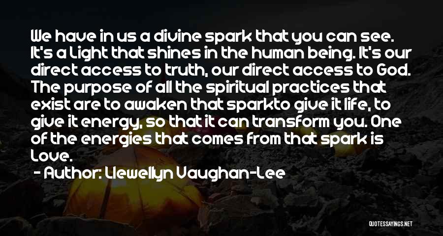 Llewellyn Vaughan-Lee Quotes: We Have In Us A Divine Spark That You Can See. It's A Light That Shines In The Human Being.