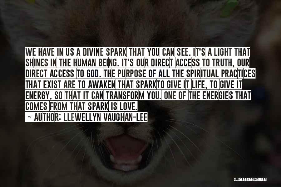 Llewellyn Vaughan-Lee Quotes: We Have In Us A Divine Spark That You Can See. It's A Light That Shines In The Human Being.