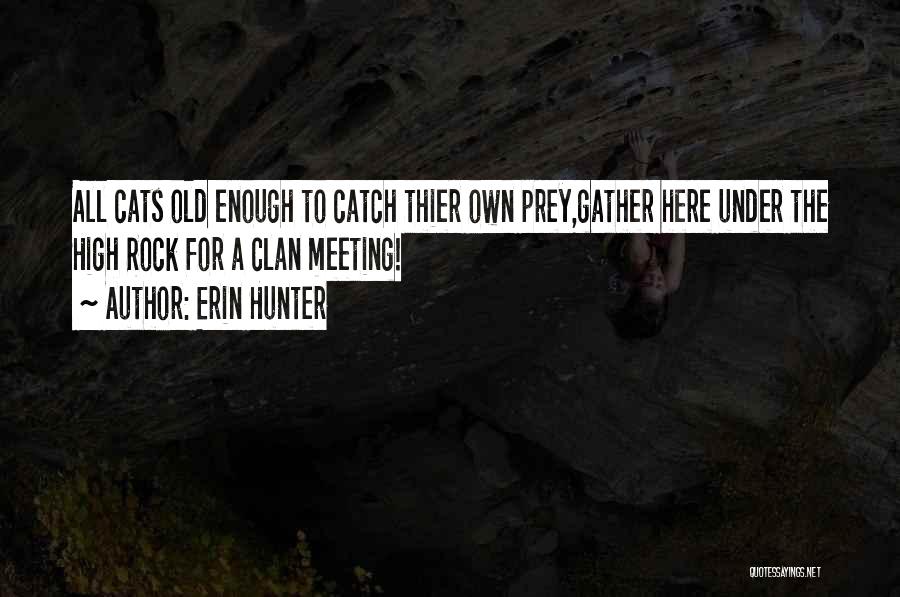 Erin Hunter Quotes: All Cats Old Enough To Catch Thier Own Prey,gather Here Under The High Rock For A Clan Meeting!