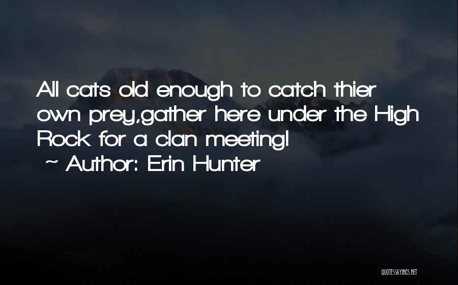Erin Hunter Quotes: All Cats Old Enough To Catch Thier Own Prey,gather Here Under The High Rock For A Clan Meeting!