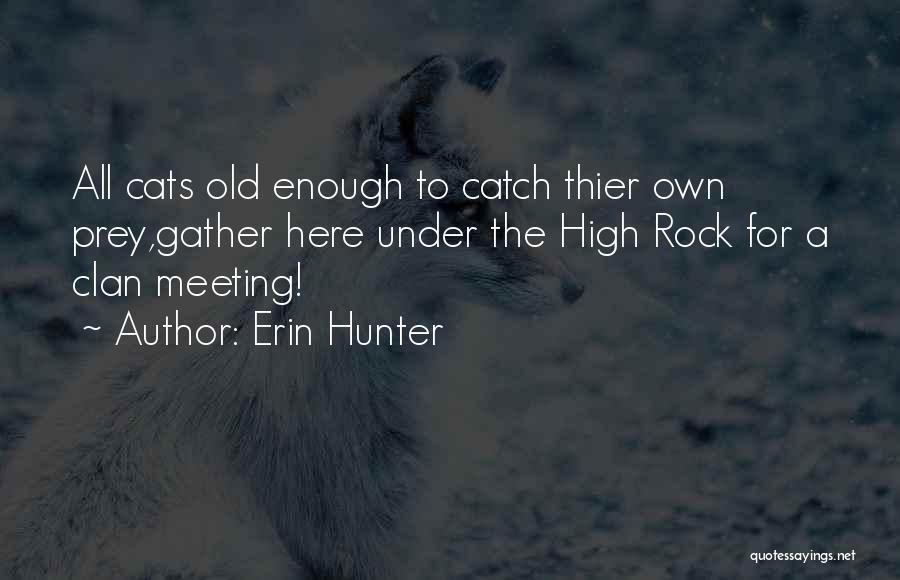 Erin Hunter Quotes: All Cats Old Enough To Catch Thier Own Prey,gather Here Under The High Rock For A Clan Meeting!