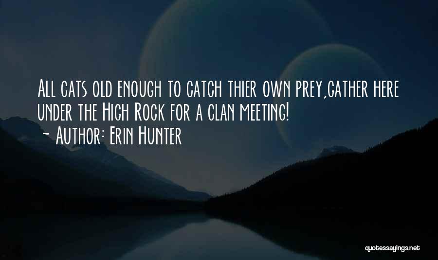 Erin Hunter Quotes: All Cats Old Enough To Catch Thier Own Prey,gather Here Under The High Rock For A Clan Meeting!