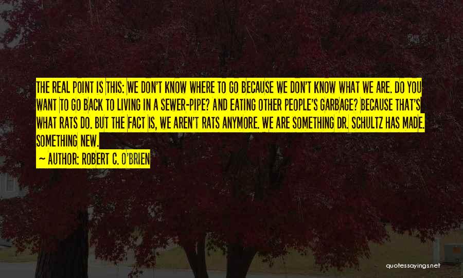 Robert C. O'Brien Quotes: The Real Point Is This: We Don't Know Where To Go Because We Don't Know What We Are. Do You