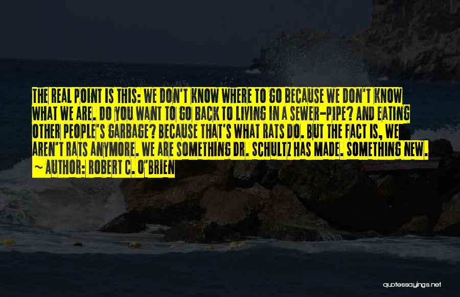 Robert C. O'Brien Quotes: The Real Point Is This: We Don't Know Where To Go Because We Don't Know What We Are. Do You