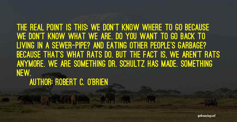 Robert C. O'Brien Quotes: The Real Point Is This: We Don't Know Where To Go Because We Don't Know What We Are. Do You