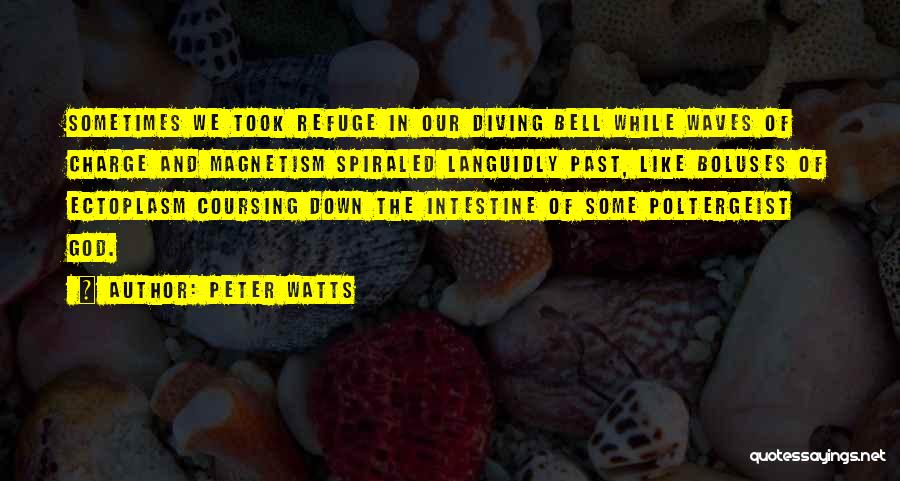 Peter Watts Quotes: Sometimes We Took Refuge In Our Diving Bell While Waves Of Charge And Magnetism Spiraled Languidly Past, Like Boluses Of