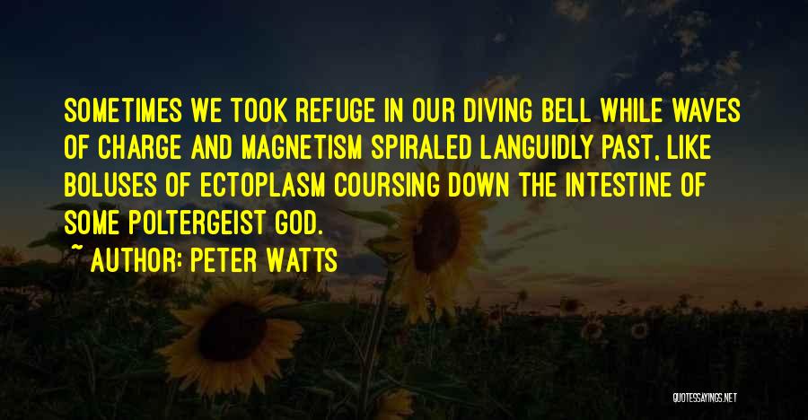 Peter Watts Quotes: Sometimes We Took Refuge In Our Diving Bell While Waves Of Charge And Magnetism Spiraled Languidly Past, Like Boluses Of