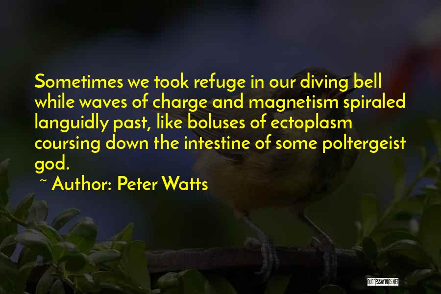 Peter Watts Quotes: Sometimes We Took Refuge In Our Diving Bell While Waves Of Charge And Magnetism Spiraled Languidly Past, Like Boluses Of