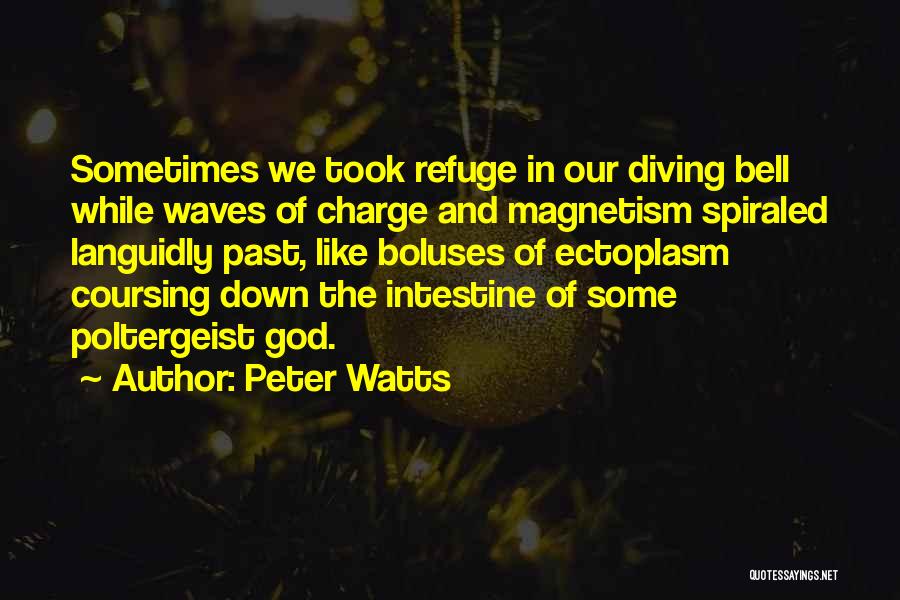 Peter Watts Quotes: Sometimes We Took Refuge In Our Diving Bell While Waves Of Charge And Magnetism Spiraled Languidly Past, Like Boluses Of