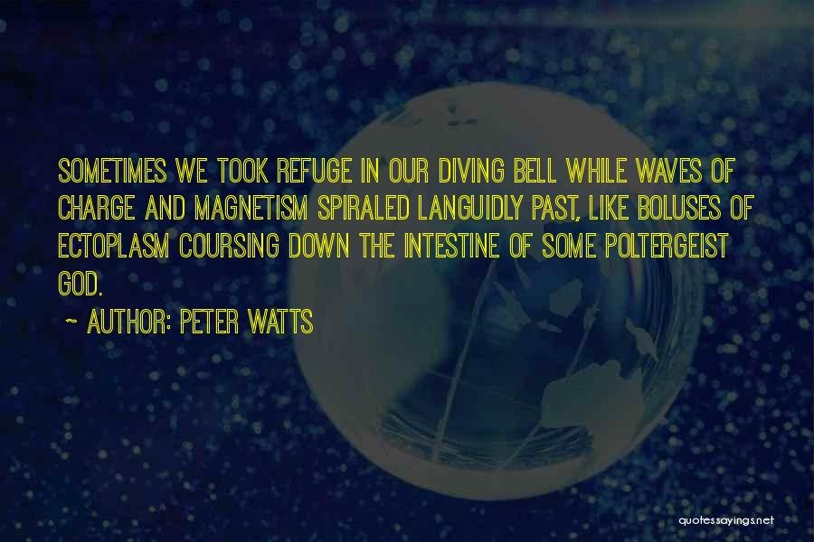 Peter Watts Quotes: Sometimes We Took Refuge In Our Diving Bell While Waves Of Charge And Magnetism Spiraled Languidly Past, Like Boluses Of