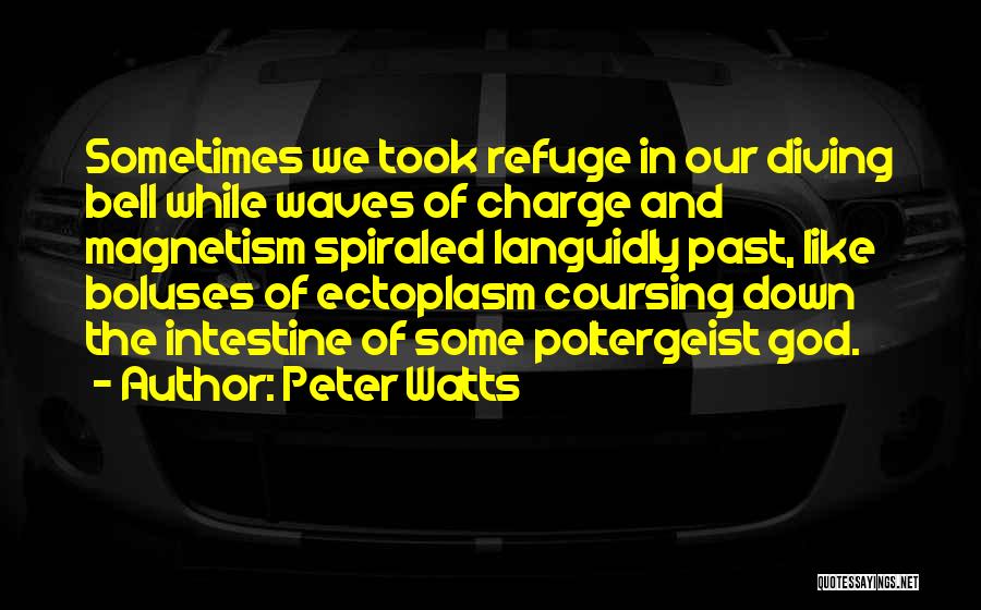 Peter Watts Quotes: Sometimes We Took Refuge In Our Diving Bell While Waves Of Charge And Magnetism Spiraled Languidly Past, Like Boluses Of