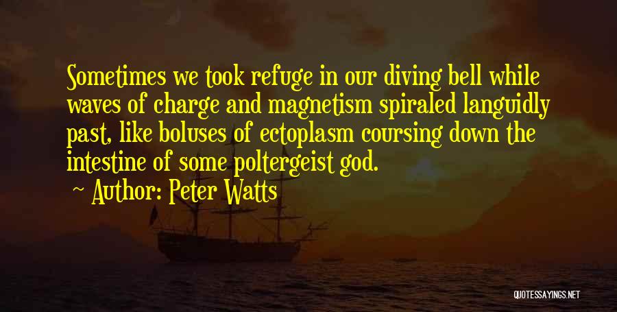 Peter Watts Quotes: Sometimes We Took Refuge In Our Diving Bell While Waves Of Charge And Magnetism Spiraled Languidly Past, Like Boluses Of