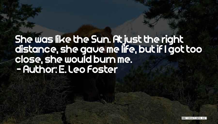 E. Leo Foster Quotes: She Was Like The Sun. At Just The Right Distance, She Gave Me Life, But If I Got Too Close,