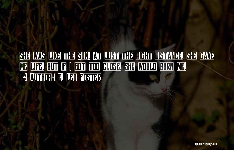 E. Leo Foster Quotes: She Was Like The Sun. At Just The Right Distance, She Gave Me Life, But If I Got Too Close,