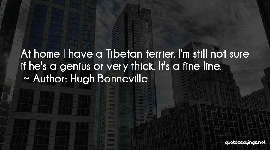 Hugh Bonneville Quotes: At Home I Have A Tibetan Terrier. I'm Still Not Sure If He's A Genius Or Very Thick. It's A