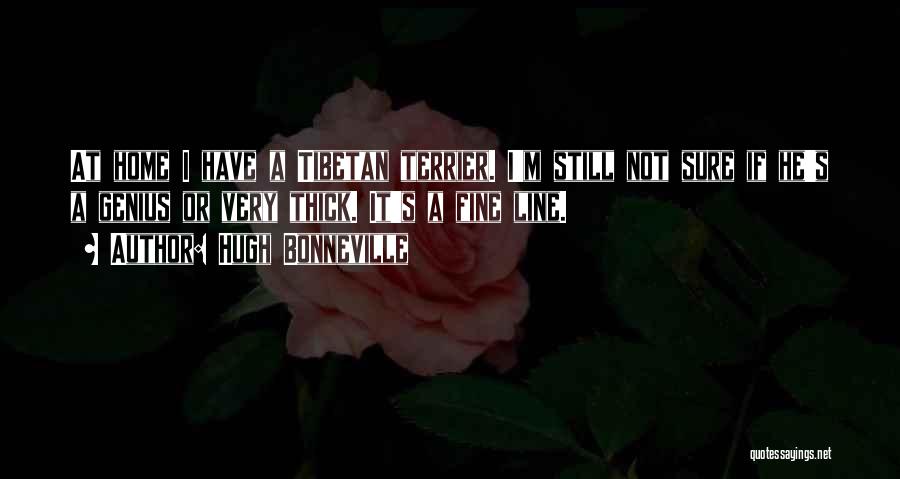 Hugh Bonneville Quotes: At Home I Have A Tibetan Terrier. I'm Still Not Sure If He's A Genius Or Very Thick. It's A
