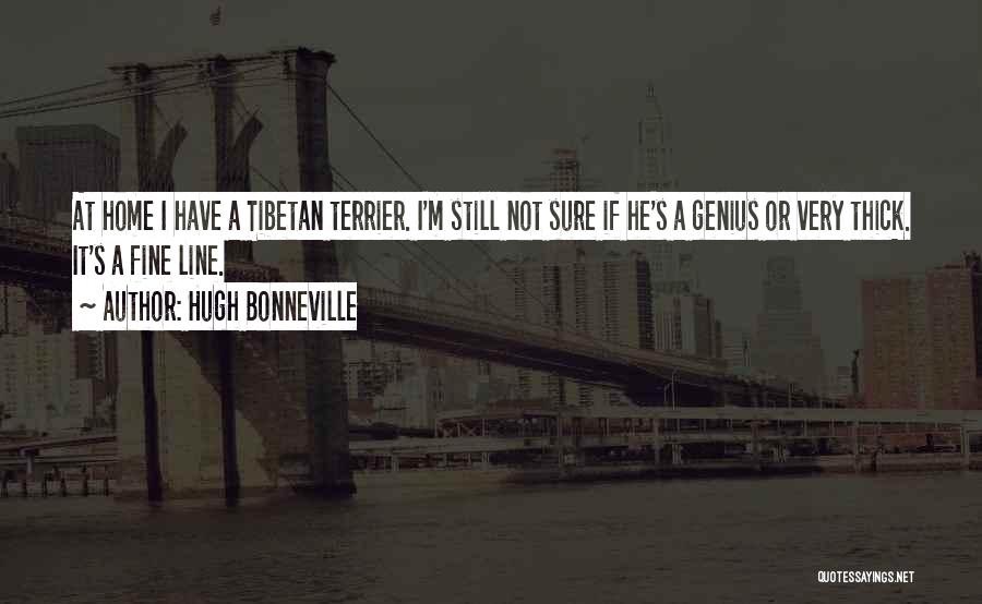 Hugh Bonneville Quotes: At Home I Have A Tibetan Terrier. I'm Still Not Sure If He's A Genius Or Very Thick. It's A