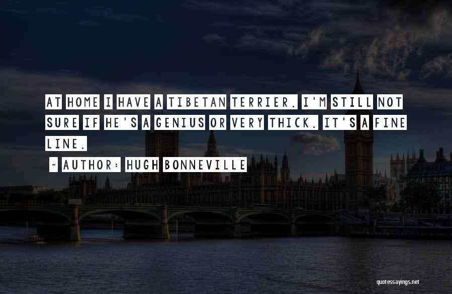 Hugh Bonneville Quotes: At Home I Have A Tibetan Terrier. I'm Still Not Sure If He's A Genius Or Very Thick. It's A