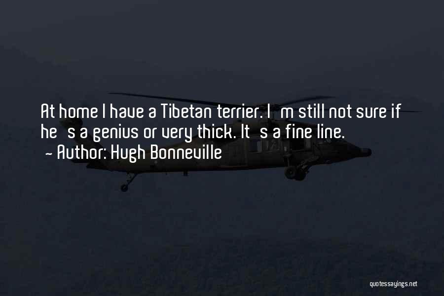 Hugh Bonneville Quotes: At Home I Have A Tibetan Terrier. I'm Still Not Sure If He's A Genius Or Very Thick. It's A