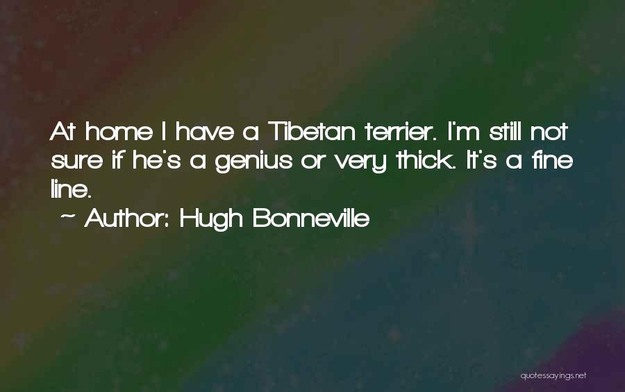 Hugh Bonneville Quotes: At Home I Have A Tibetan Terrier. I'm Still Not Sure If He's A Genius Or Very Thick. It's A