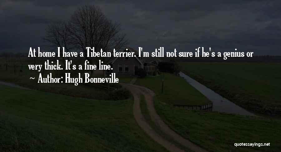 Hugh Bonneville Quotes: At Home I Have A Tibetan Terrier. I'm Still Not Sure If He's A Genius Or Very Thick. It's A