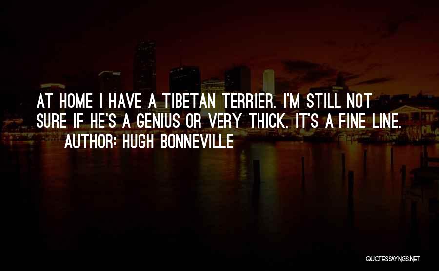 Hugh Bonneville Quotes: At Home I Have A Tibetan Terrier. I'm Still Not Sure If He's A Genius Or Very Thick. It's A